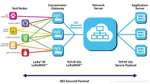 全面拆解和构建5G物联网 25 LoRa终端、LoRaWAN协议简介与终端软件选择及网络电话应用技术研发